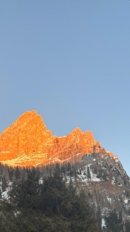 Casa Loria - Appartamento Con Giardino San Martino Di Castrozza Exteriör bild
